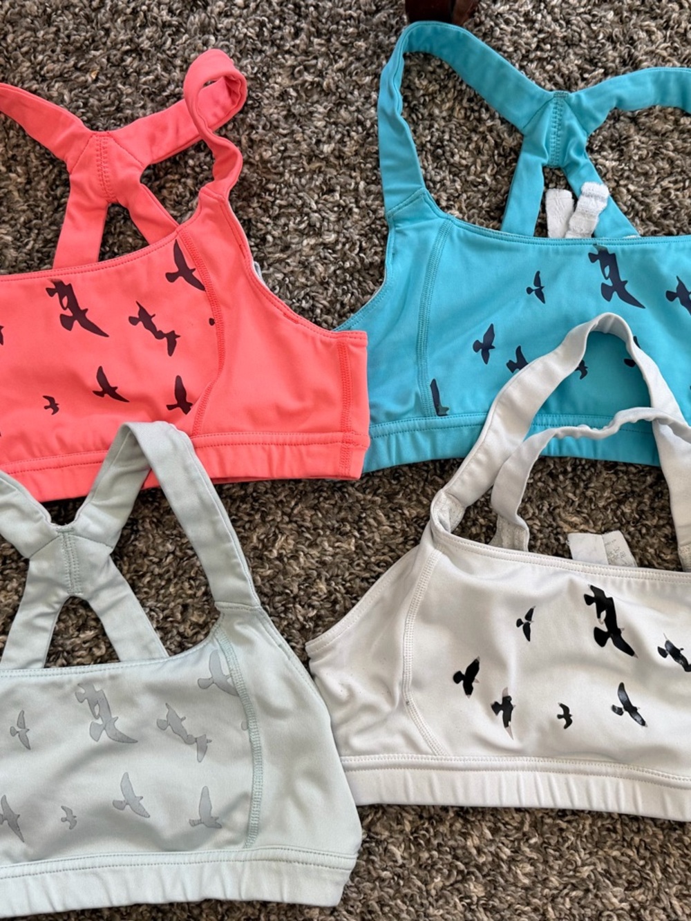 Lot of 4 Oiselle Lesko Bras